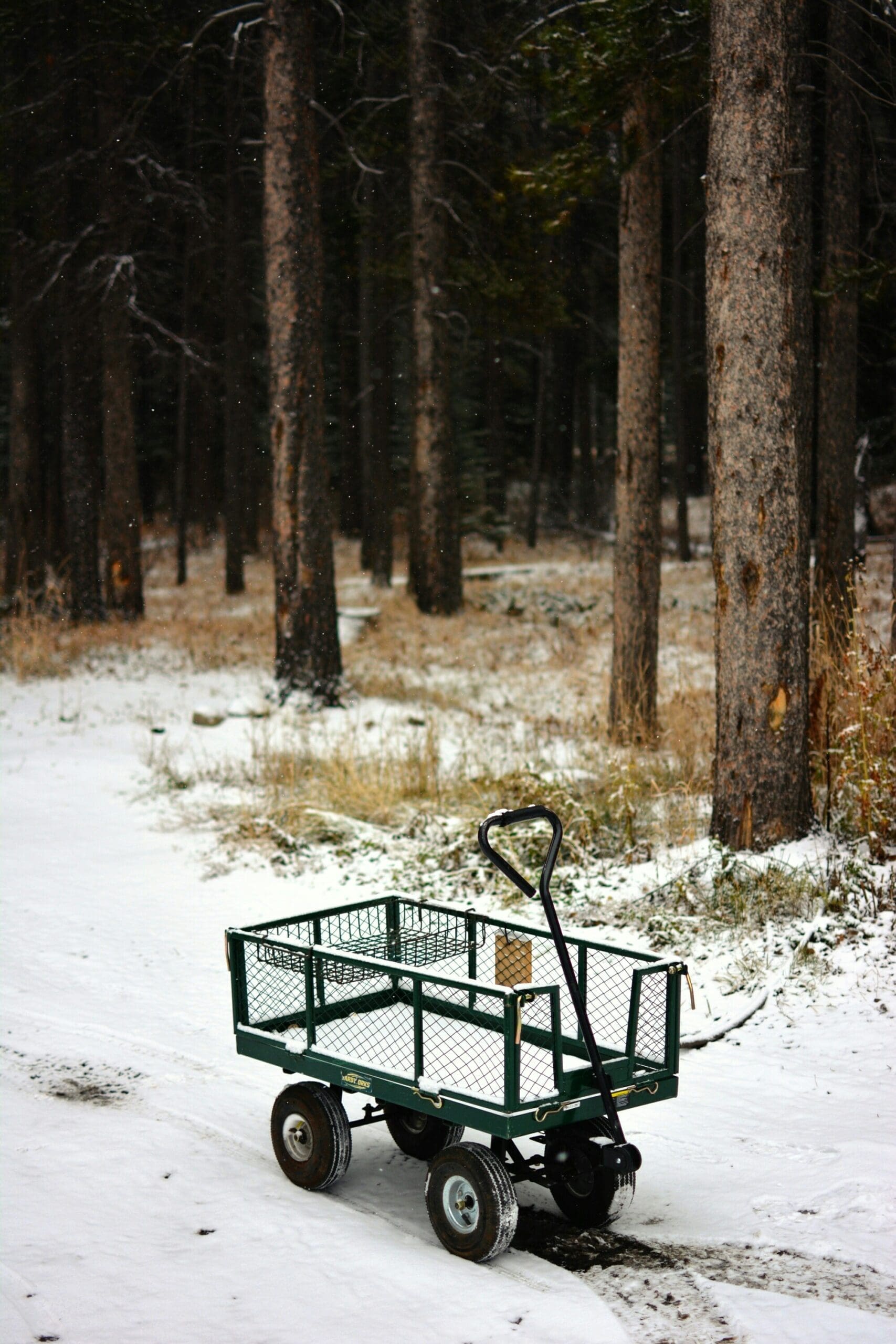 Abandoned Cart