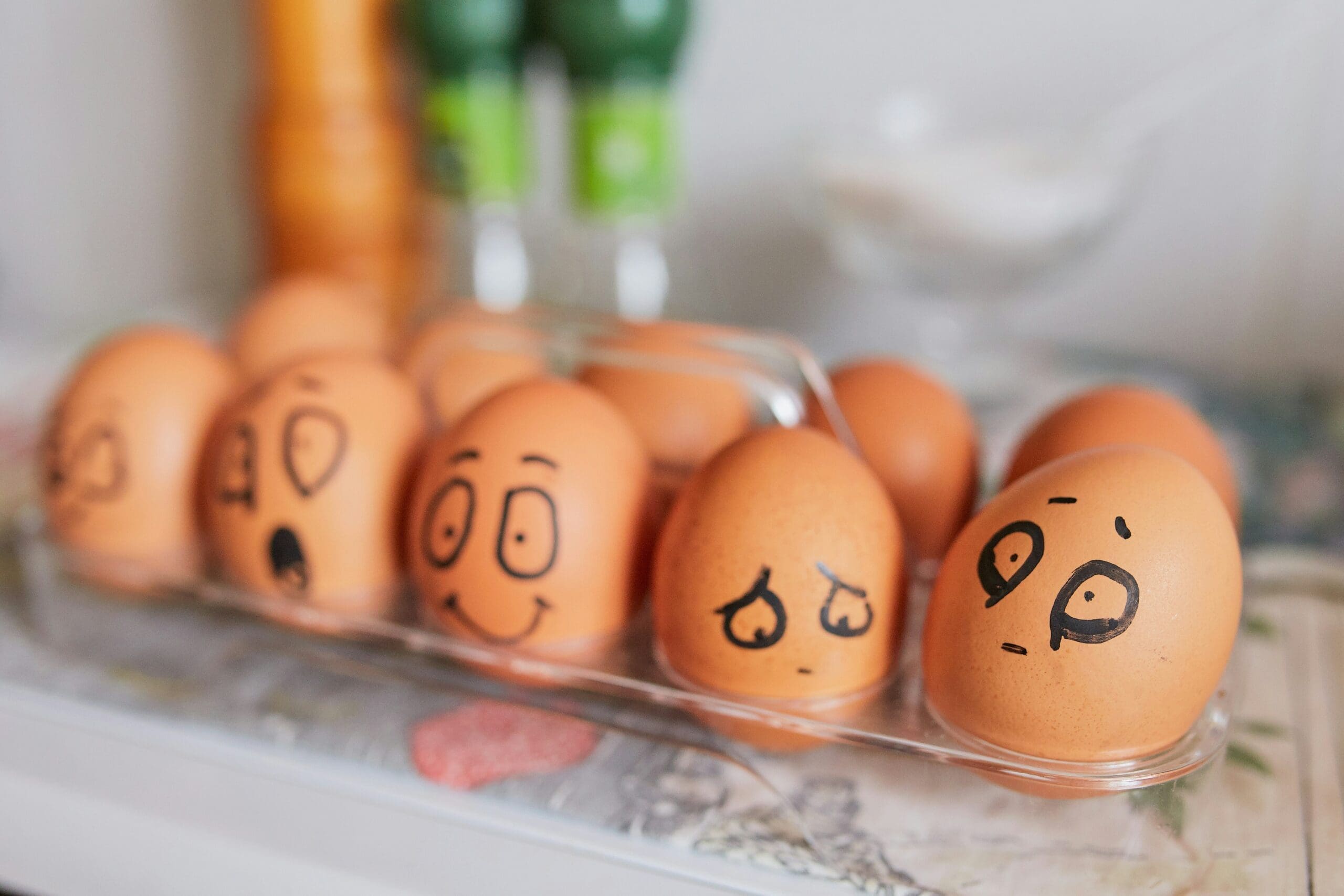 Our WordPress Multisite installation tips will leave you the happiest egg in the dozen!
