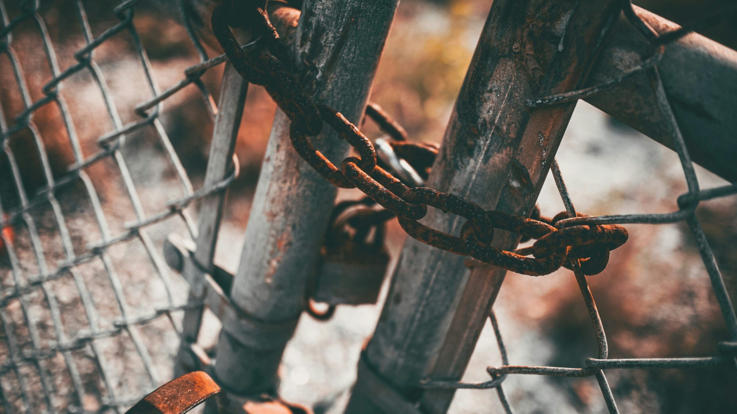 If you get locked out of your WordPress installation, give us a call.