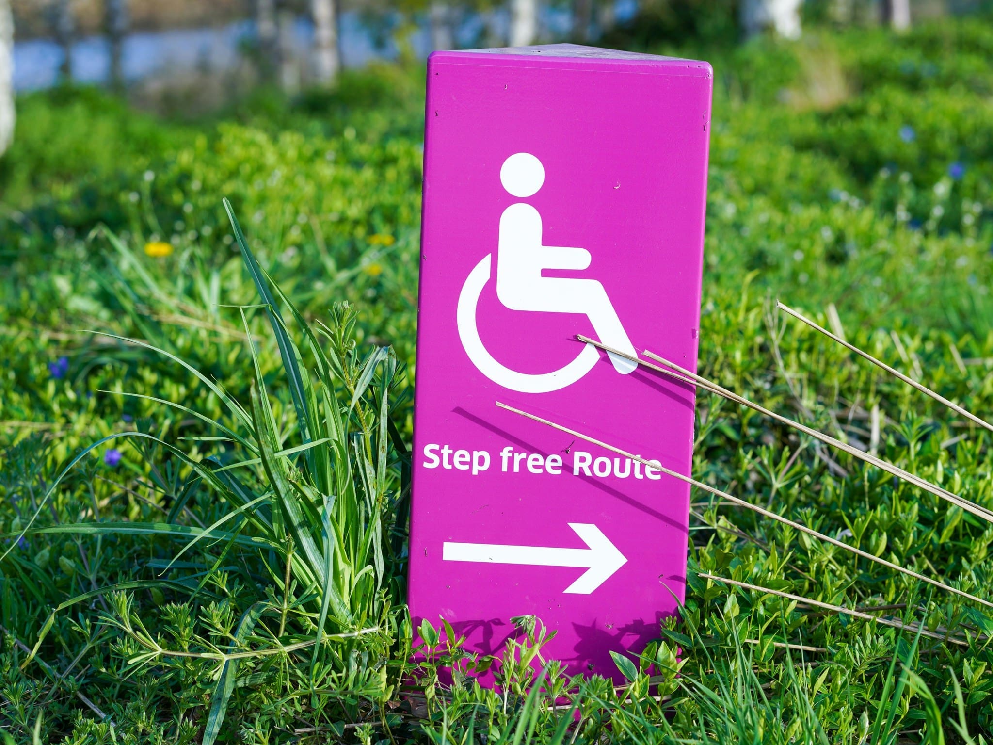 How to Build a Business Case for Accessibility in Digital Products